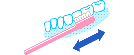 歯みがきの基本